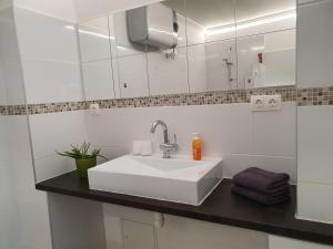 ein Badezimmer mit einem weißen Waschbecken und einem Spiegel in der Unterkunft Landhaus Steirerengel in Lócs + 15 Fotos