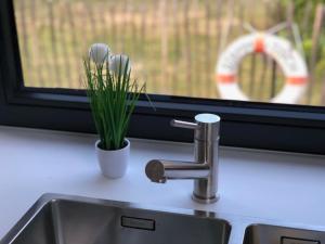 Un fregadero de cocina con una planta en maceta junto a una ventana. en -"Strandhaus Friedrich"-, en Dierhagen