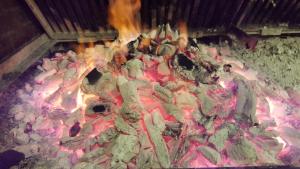 Un groupe de gens autour d'une pizza au feu dans l'établissement Pensión Avenida, à Vilafranca del Penedès