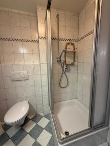 a bathroom with a shower and a toilet at Ferienwohnung im Stadtkern Großbottwar in Großbottwar