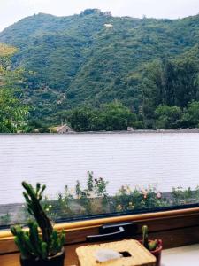 旅馆周边自然景观