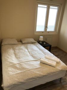 Postel nebo postele na pokoji v ubytování Guesthouse Centrum