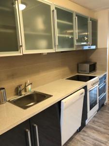 Kuchyň nebo kuchyňský kout v ubytování Guesthouse Centrum