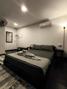 Φωτογραφία από το άλμπουμ του Seahorse Diver Guesthouse στο Perhentian Island