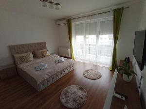 Giường trong phòng chung tại La Maia Acasă - Loftul urban