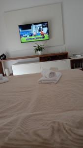 TV/trung tâm giải trí tại La Maia Acasă - Loftul urban +16 ảnh