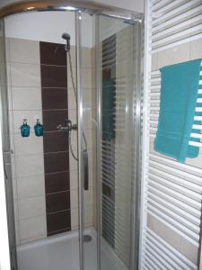 a shower with a glass door in a bathroom at Penzion a Restaurace Na Záložně in Kobylí