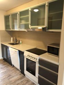 Kuchyň nebo kuchyňský kout v ubytování Guesthouse Centrum