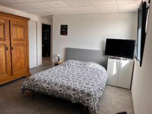 Μια τηλεόραση ή/και κέντρο ψυχαγωγίας στο Appartement Les Faysses