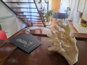 Fotografie z fotogalerie ubytování B&B Corallo v destinaci Sassari