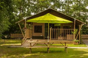 Zorgcamping De Ruif De Peppelhoeve外面的花园