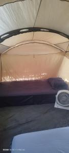 Posto letto in tenda in camera. di Casa pescadores camping a Isola Holbox