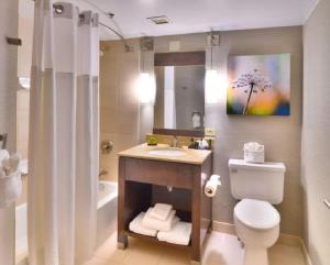 丹佛Embassy Suites by Hilton Denver Central Park的带水槽、马桶和淋浴的浴室