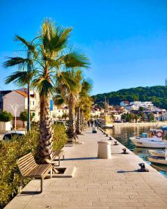 a walkway with palm trees and a bench next to the water at Apartment Biser mora in Rogoznica