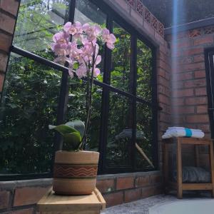 Giardino di Glamping Manzara