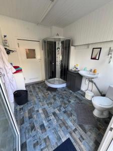 a bathroom with a shower and a toilet and a sink at "Saunahotel" mit separatem Badezimmer in Meinerzhagen