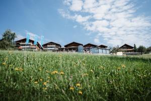 un campo de flores frente a un grupo de casas en Solbadhotel Sigriswil, en Sigriswil