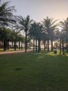 a park with palm trees and a field of grass at Villa Rosso in Cap Skirring