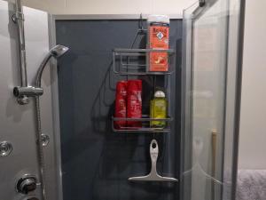 Fotografie z fotogalerie ubytování chambre 2 personnes Pinet v destinaci Pinet