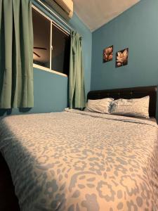 a bedroom with a bed with blue walls and a window at 1br 2pax 1car only Malaysian guest only in Bayan Lepas