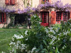 Zahrada ubytování Art House Domaine de l'Ocrerie