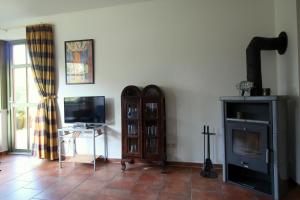 ein Wohnzimmer mit einem TV und einem Kamin in der Unterkunft Strandlöper in Wustrow + 17 Fotos