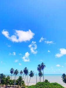 a group of palm trees on a beach at Setai Yacht by DayByDay in João Pessoa