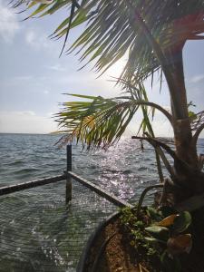 旅馆周边自然景观
