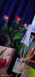 Fotografie z fotogalerie ubytování Apartament WODNY RAJ v destinaci Řešov