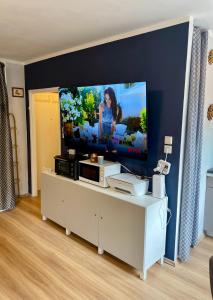 TV a/nebo společenská místnost v ubytování Vienna Business-Apartment 1-6 months