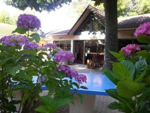 een blauwe bank voor een gebouw met paarse bloemen bij Chalet 3 étoiles - Piscine - ccaibfi in Saint-Jean-du-Gard