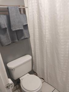 a bathroom with a white toilet and a shower curtain at 2 Double Beds Hotel Room 208 in Jackson
