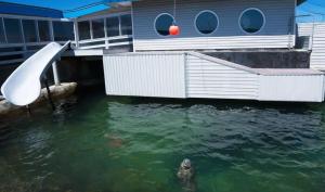 Billede fra billedgalleriet på Pacific Seaside House by Pebble Beach & Redwoods i Crescent City + 37 billeder