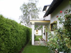 a view of a house with a hedge at Privat Buk 100 in Jindřichŭv Hradec