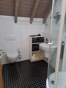 a bathroom with a shower and a toilet and a sink at Haus Burg, Ferienhaus in Bongard +63 photos