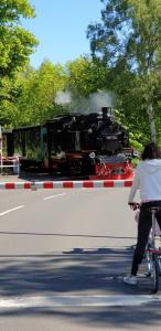 Gäste, die in der Unterkunft Apartment Nordstern übernachten