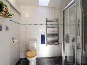 a bathroom with a toilet and a shower at Milltown House in Turriff +29 photos