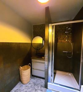 a bathroom with a shower with a sink and a mirror at Apartament blu in Piece