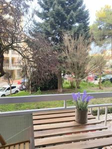 Κήπος έξω από το allegro alsos apartment