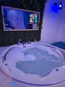 a bath tub with a tv in a bathroom at RIS Studio premium lux jacuzzi in Bucharest