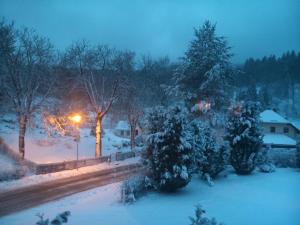a snow covered yard with two christmas trees and a street at Ferienhaus Gäste Komfort Vesser in Vesser