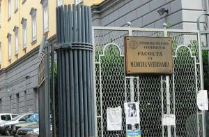 Foto dalla galleria di Le 3 Sorelle House a Napoli