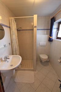 un bagno con doccia, lavandino e WC di "Ferienhof Alte Mühle" M 1 a Bannesdorf