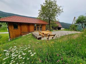 Priroda u blizini apartmana