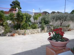 Gallery image of B&B Oasi in Marina di Palma
