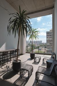 a balcony with chairs and a palm tree on a building at Apartamento Centro Moderno CA403 in Maringá