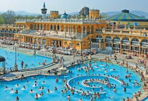 Bazén v ubytovaní Budapest Central Port Apartment alebo v jeho blízkosti