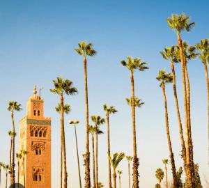 a clock tower with palm trees in front of it at Magnifique Appartement spacieux confort propre familial 2 chambres salon et salle a manger a 20mn a pied de place jemaa el fina 4 piscines dans espace de Golf a 12 mn en voitures l entree est gratuit pour la clientele ouvert entre 10h et 20h in Marrakech