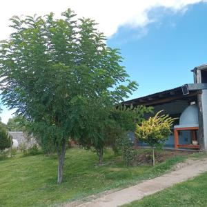 a tree in the grass in front of a building at Cabaña CALLE VIEJA in La Porteña