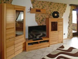 a living room with a television in a wooden entertainment center at Apartment in Langenargen near Lake Constance in Oberdorf